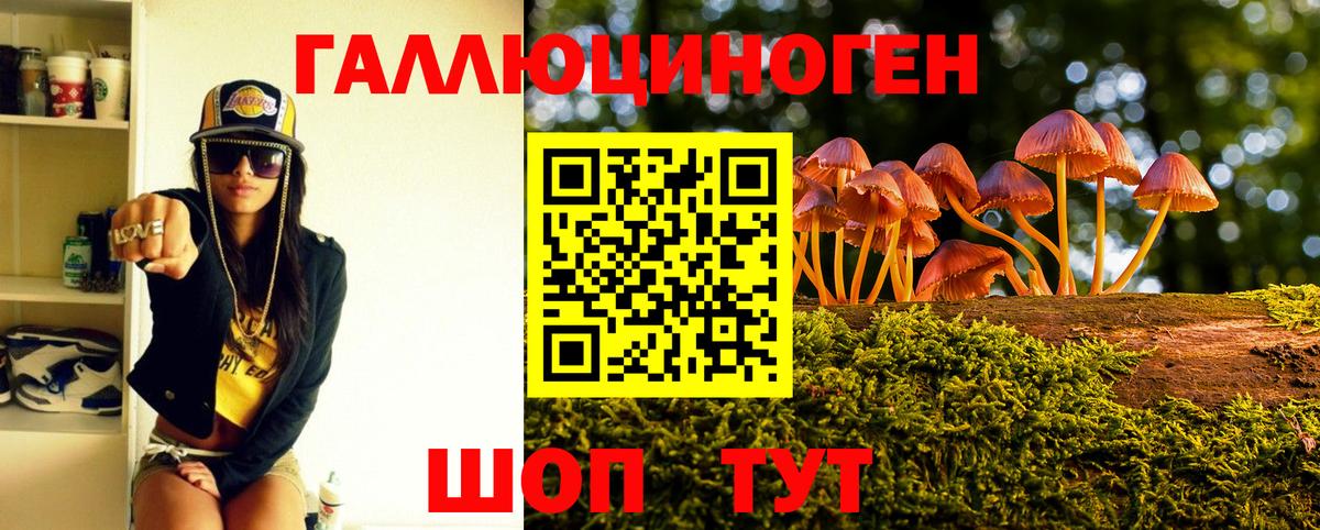 Галлюциногенные грибы мицелий Ишимбай